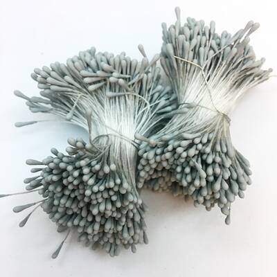 Çiçek tohumu 1,5 mm Dusty Miller - 1