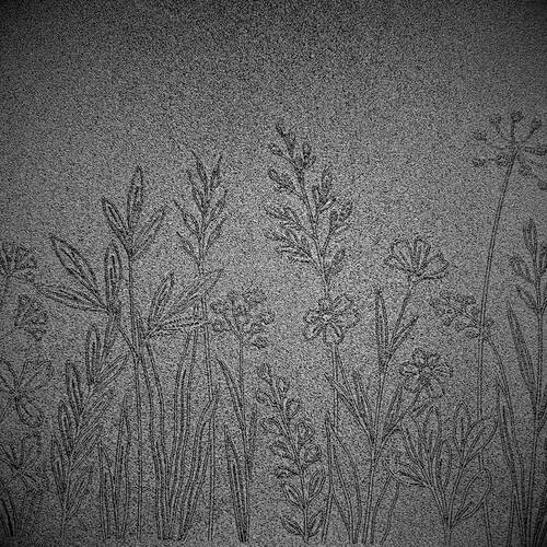 Doku transfer matı Botanical Borders-4; 33x22 cm - 3