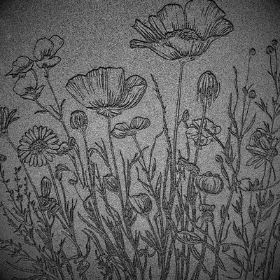 Doku transfer matı Botanical Borders-4; 33x22 cm - 2