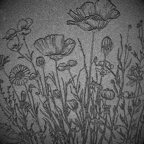 Doku transfer matı Botanical Borders-4; 33x22 cm - 2