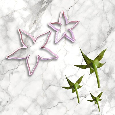 Gül  çanak yaprak kesici seti (4-6 cm); 2 parça 