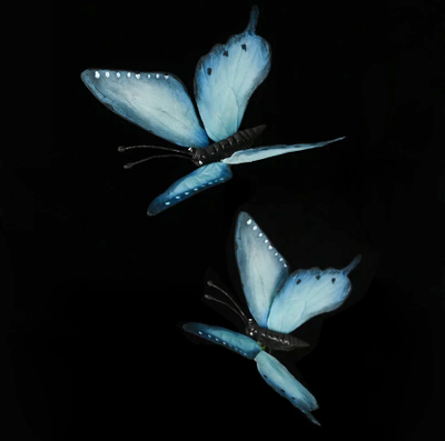 Kelebek damarlayıcı seti - 3