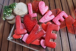 Plastik kalıp  LOVE kutu harfler; 9 cm - 2