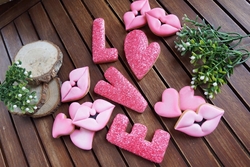 Plastik kalıp  LOVE kutu harfler; 9 cm - 7