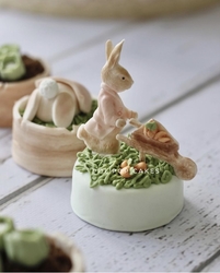 Silikon kalıp Peter Rabbit Tavşan; 7,3*7,3 cm (1)