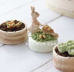 Silikon kalıp Peter Rabbit Tavşan; 7,3*7,3 cm - 3